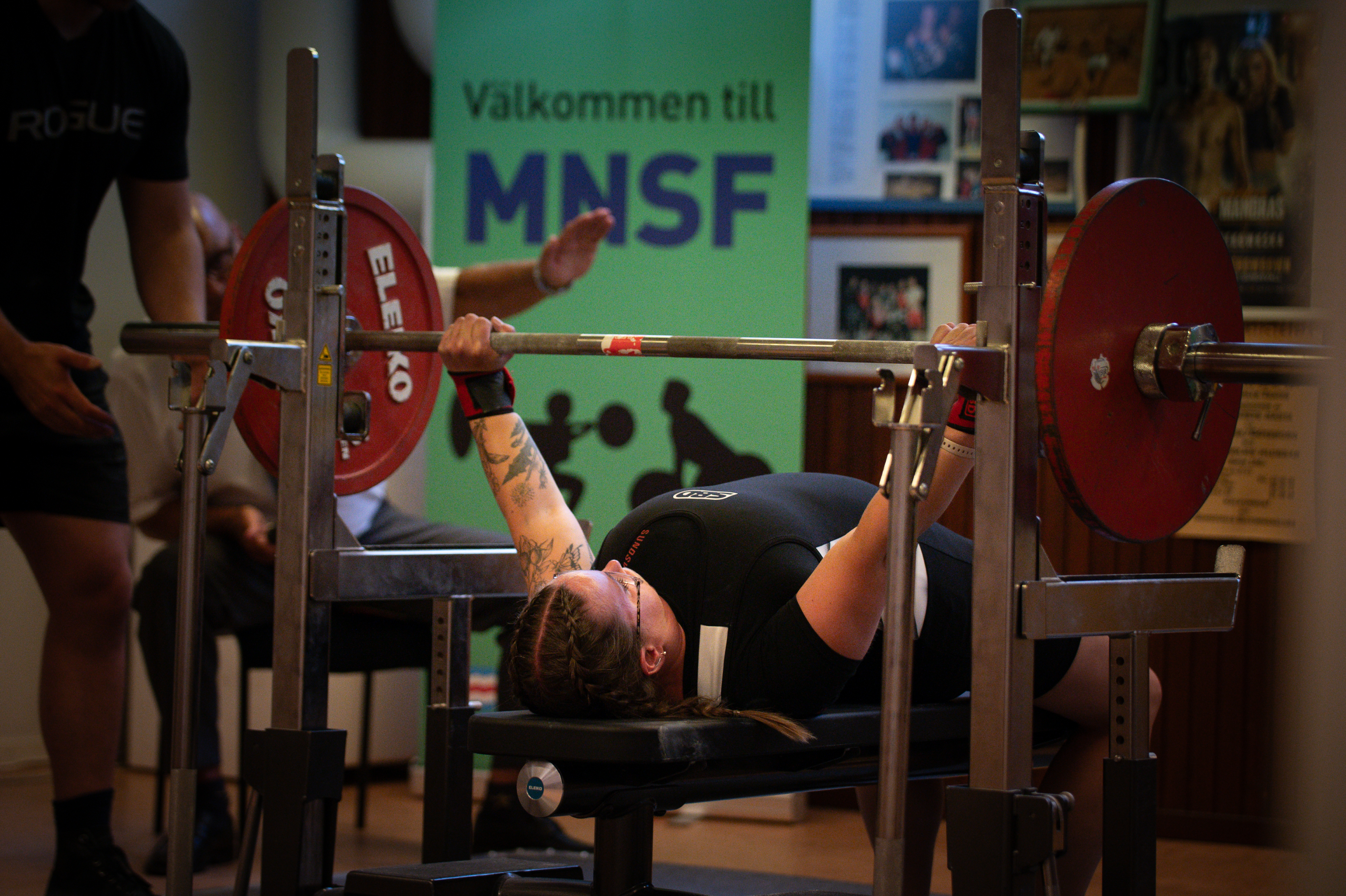 Beskrivning av bilden